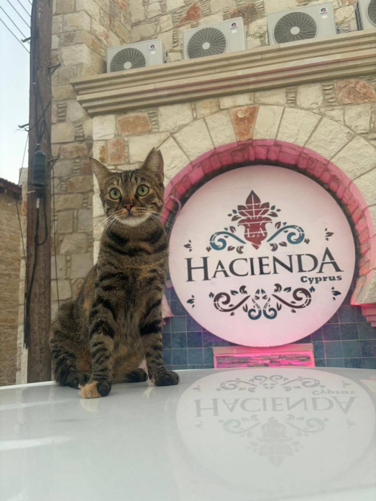 La Hacienda Cyprus Hotell Limassol Exteriör bild